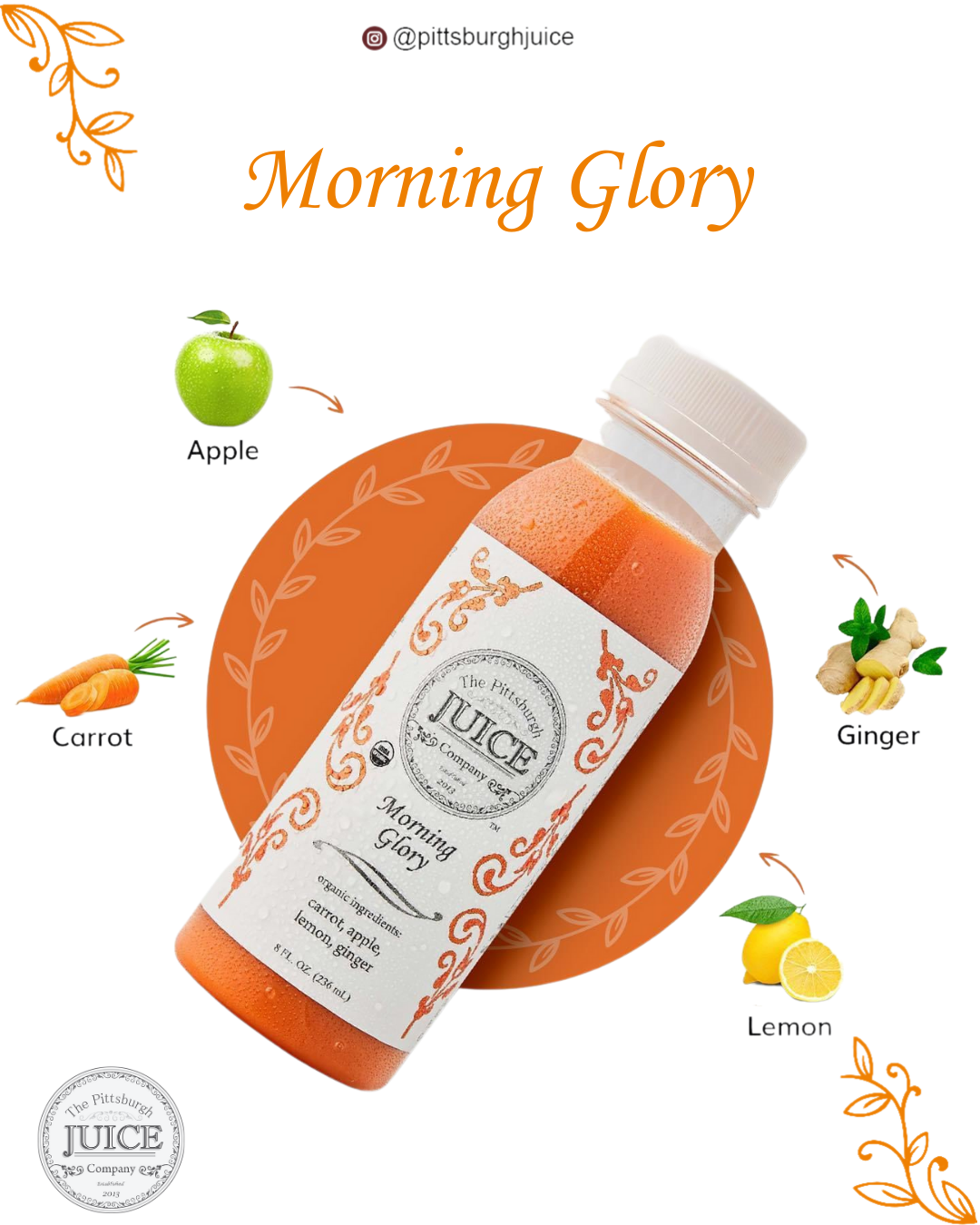 Wholesale Case - Morning Glory 8oz