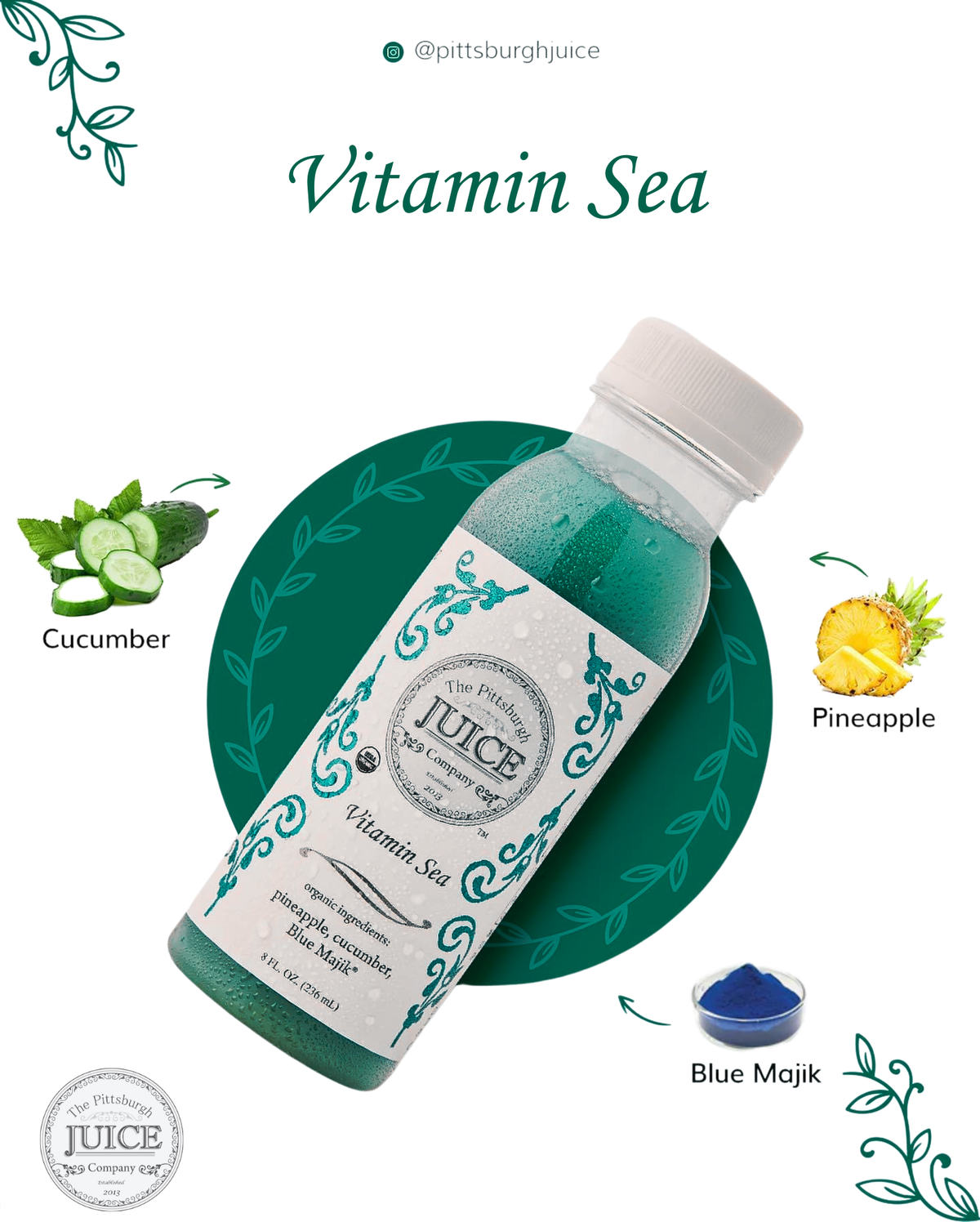 Wholesale Case - Vitamin Sea 8oz (Copy)